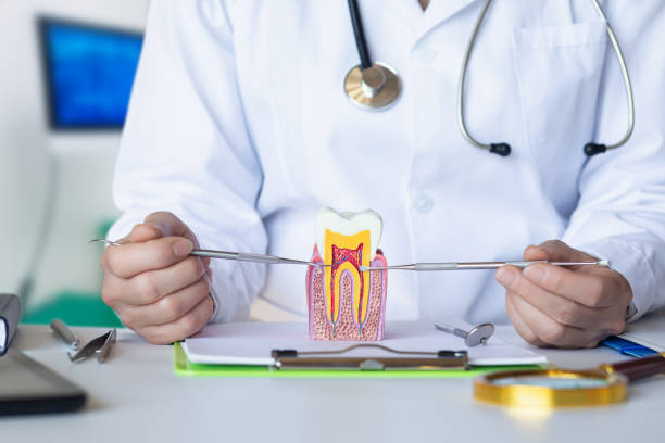 Best Emergency Dentist for Special Needs Patients in Perryville, AR